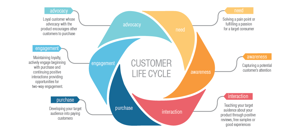 customer life cycle